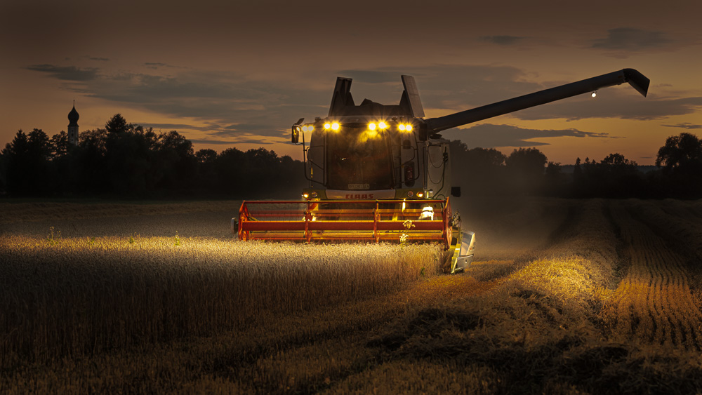 Platz 2 Anton Kienle